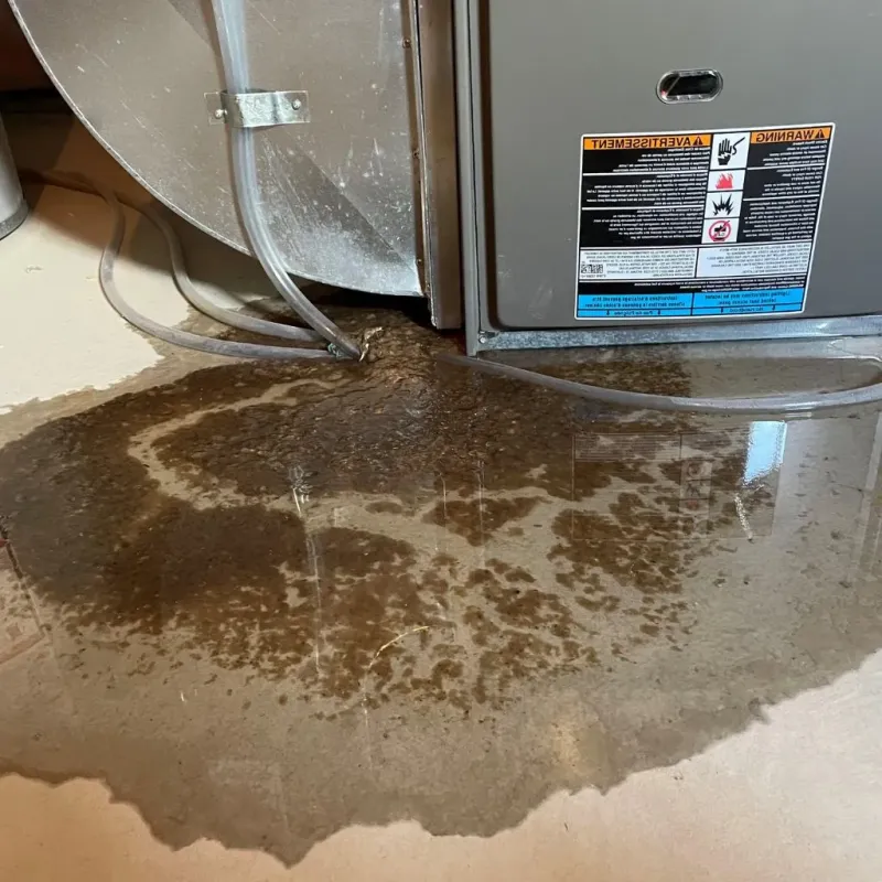 Pipe Burst and Leak Restoration in Upton, MA