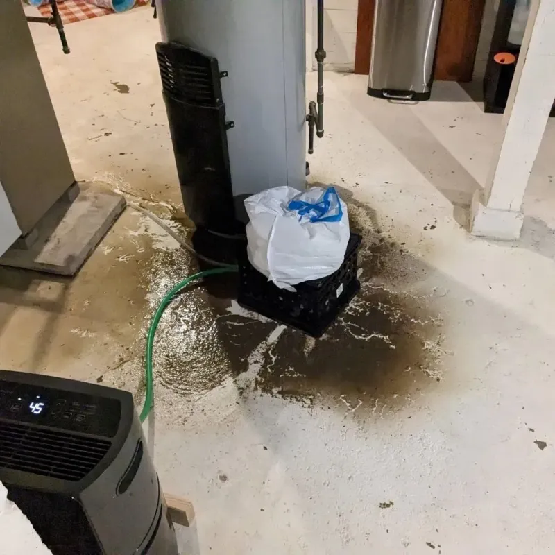 Sewage Backup Cleanup Service in Upton, MA